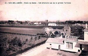 SIDI-BEL-ABBES - ECOLE DE SONIS - ENVIRONS